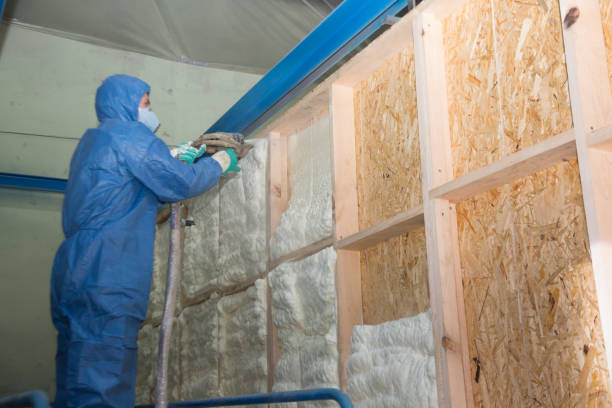 Best Wall Insulation Contractor  in Paden City, WV